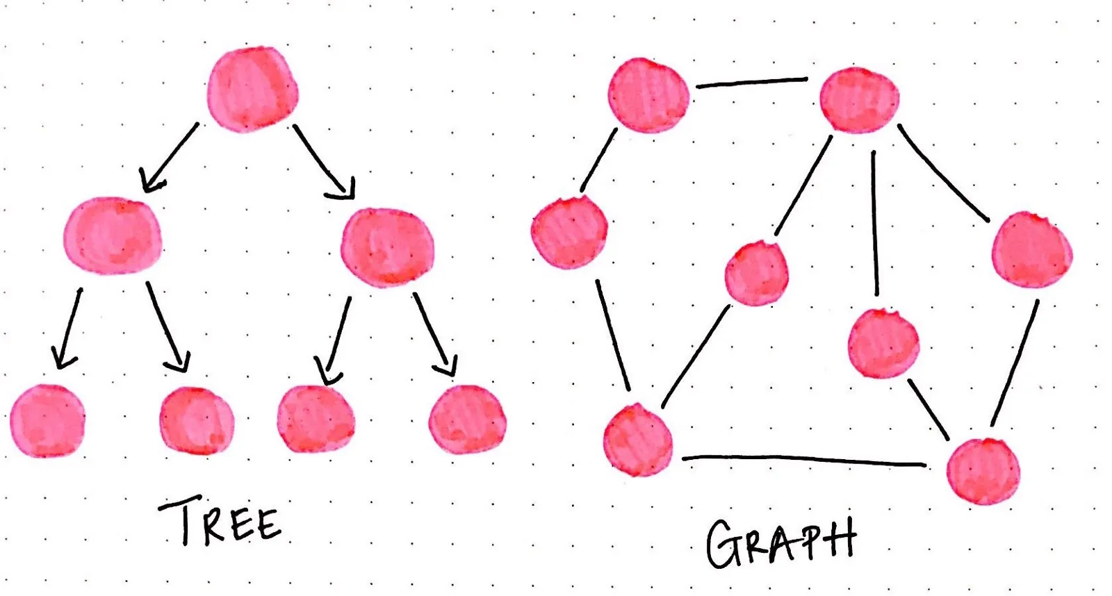 手绘示意图，数据结构树 Tree 与图 Graph 对比，树不存在环，图可以包含环路